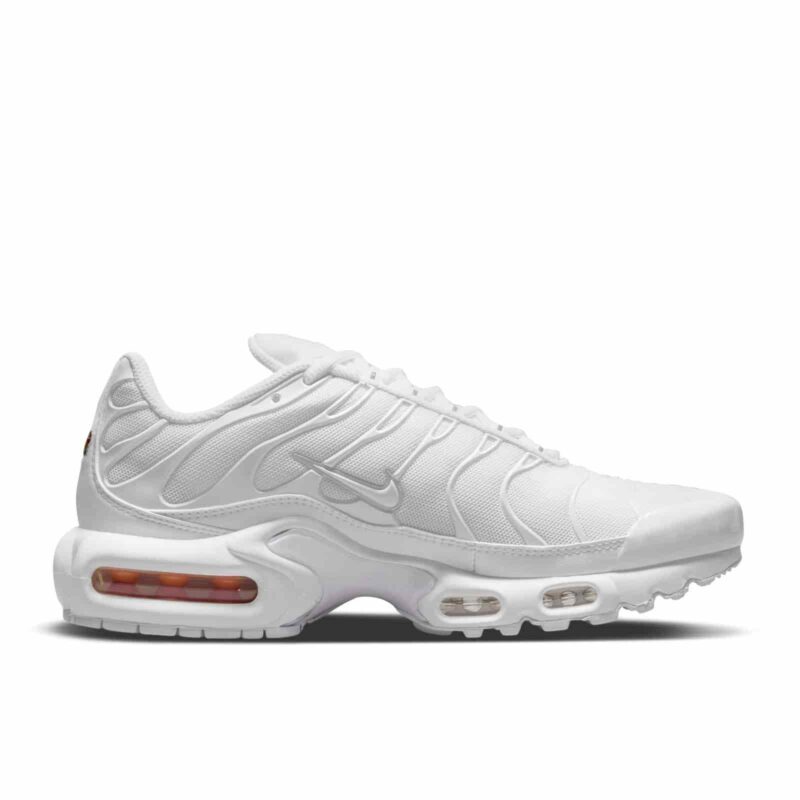 Nike Air Max Plus "Pure Platimun" DM2362-100