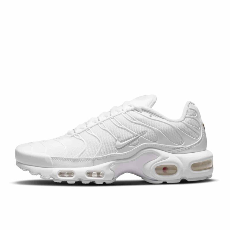 Nike Air Max Plus "Pure Platimun" DM2362-100