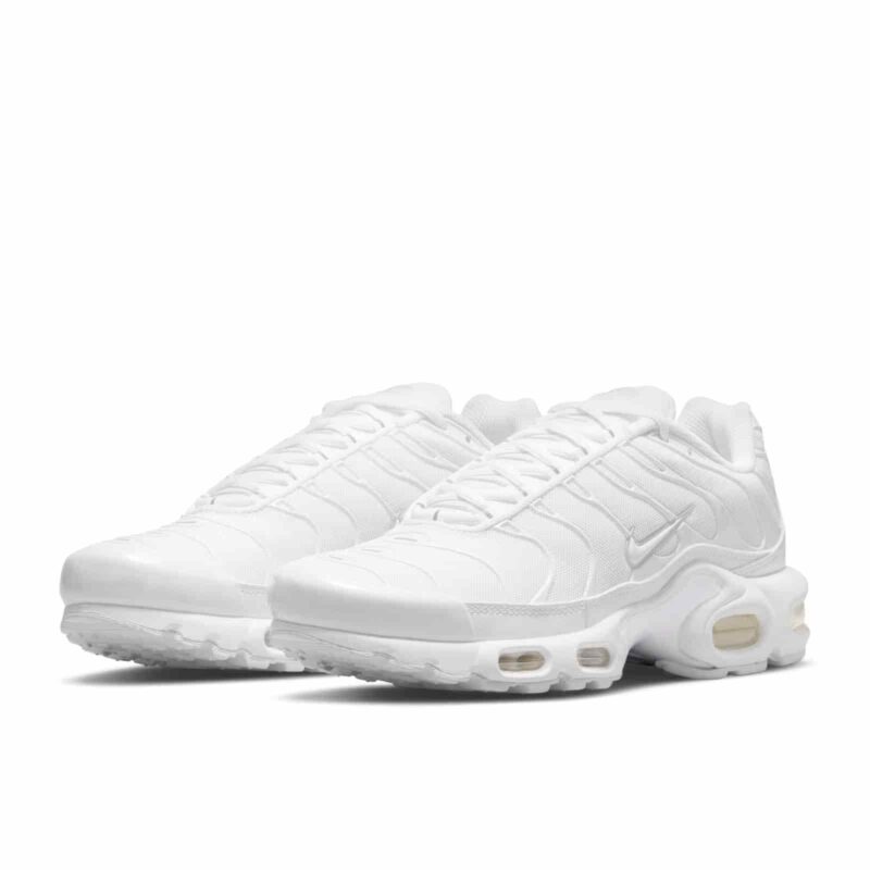 Nike Air Max Plus "Pure Platimun" DM2362-100