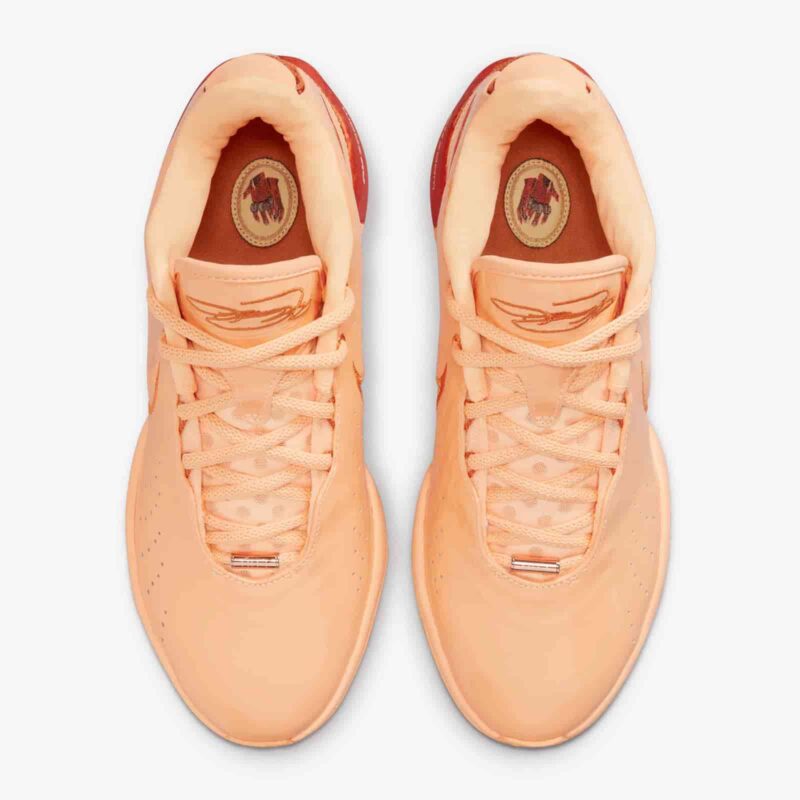 Nike LeBron XXI Melo Melo FV2345-800